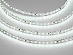 Светодиодная лента 2835-128-24-6000K-IP20 (12 W/m, 8mm, 5m)
