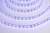 Светодиодная лента 5050-70-24-RGBW-4000К-IP20 4in1 (19,2 W/m, 12mm, 5m)