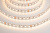 Светодиодная лента 5050-70-24-RGBW-4000К-IP20 4in1 (19,2 W/m, 12mm, 5m)