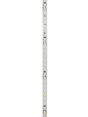 Светодиодная лента 2835-128-24-6000K-IP20 (12 W/m, 8mm, 5m)