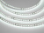 Светодиодная лента 2835-128-24-6000K-IP20 (12 W/m, 8mm, 5m)